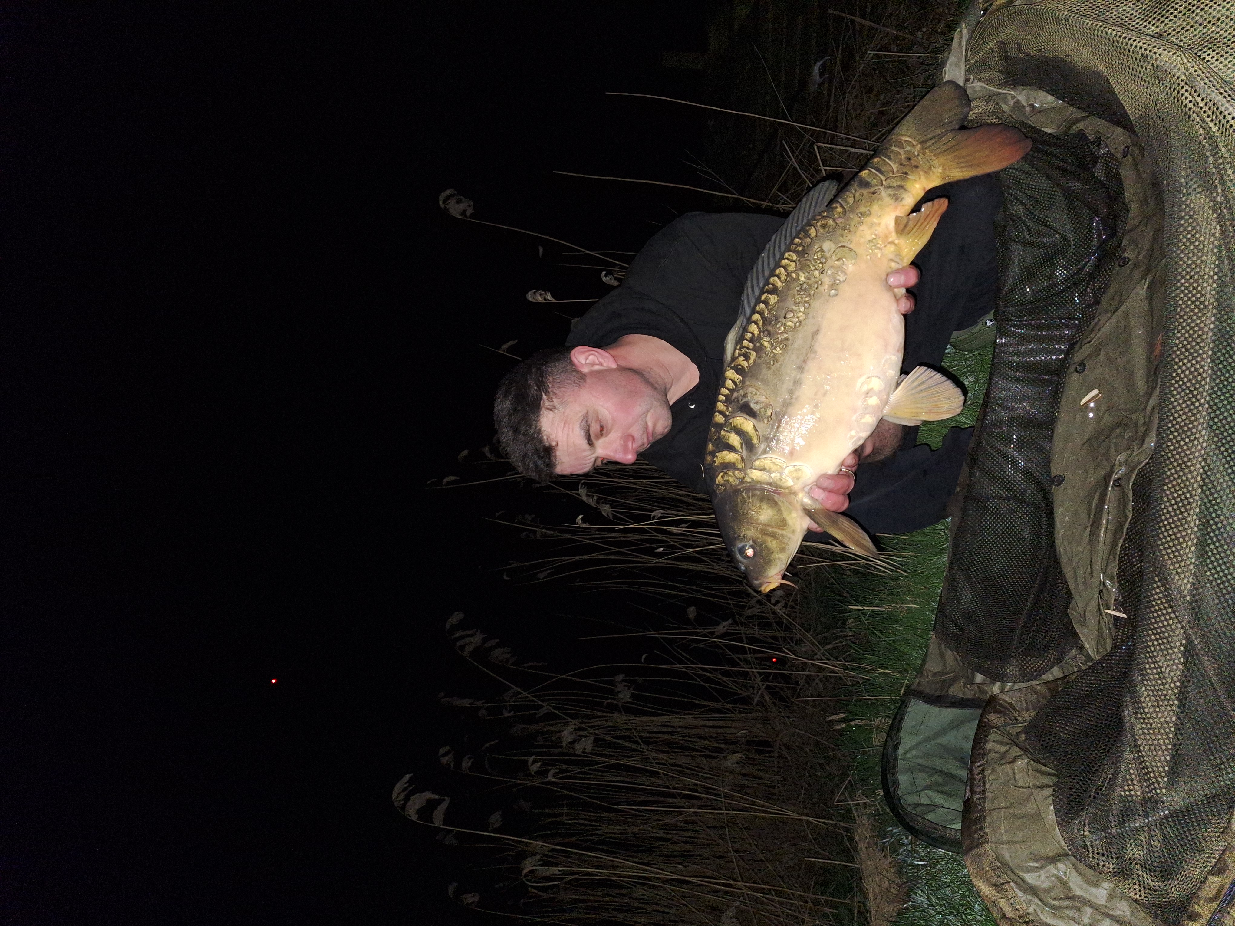 karper Spiegel Karper